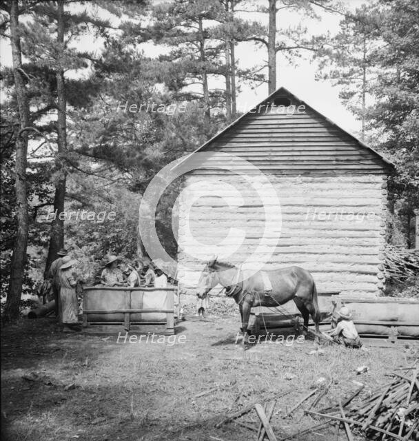 Possibly: Young son of tenant farmer gathering sticks..., Granville County, North Carolina, 1939. Creator: Dorothea Lange.