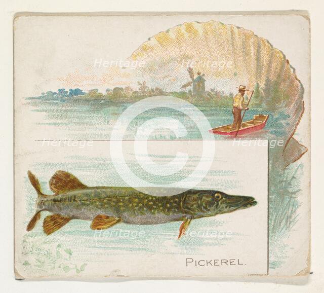 Pickerel, from Fish from American Waters series (N39) for Allen & Ginter Cigarettes, 1889. Creator: Allen & Ginter.
