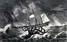 Kraken Attacking a Sailing Vessel During a Storm  , 1870.