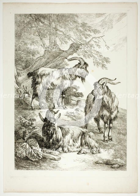 Plate Seventeen of 38 from Oeuvres de J. B. Huet, 1796–99. Creator: Jean Baptiste Marie Huet.