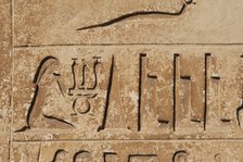 Hieroglyphic writing relief, Saqqara, Egypt, Old Kingdom (2015). Creator: Unknown.