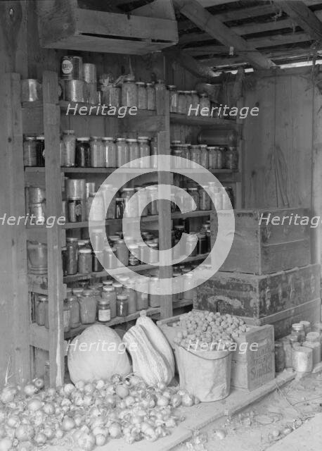 Rural rehabilitation, Tulare County, California, 1938. Creator: Dorothea Lange.