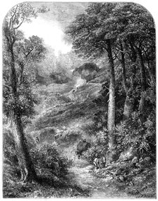 "The Path to Blackdown and the Surrey Highlands", by J. W. Weymper, from the exhibition of..., 1861. Creator: Unknown.