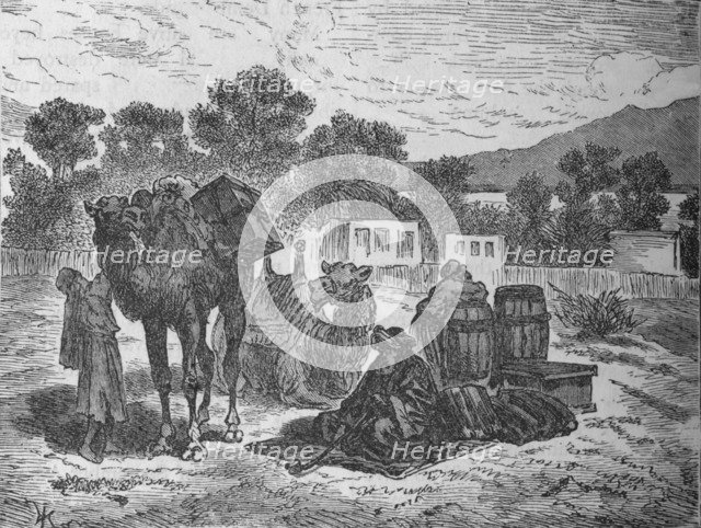 'Wells of Moses, Near Suez', c1882. Artist: Unknown.