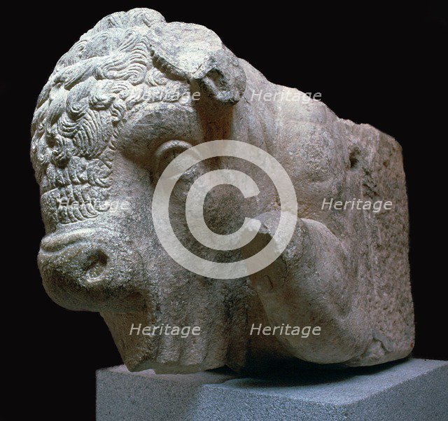Bull's head Roman sculpture from the Municipal Forum in Merida, 1st century BC. Artist: Unknown