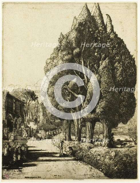 The Cypress Grove, 1904. Creator: Donald Shaw MacLaughlan.