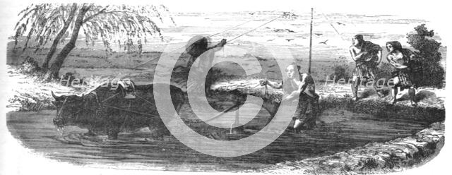 'Rice cultivation; A European Sojourn in Japan', 1875. Creator: Unknown.