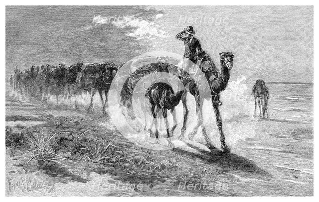 Camels carrying wool, 1886.Artist: Frank P Mahony