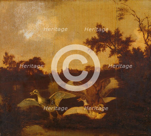 A Buzzard Attacks two Ducks, c.1635-c.1678. Creator: Dirck Wijntrack.