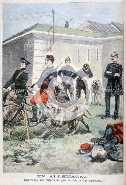 Training army dogs to attack cyclists, Germany, 1897. Artist: F Meaulle