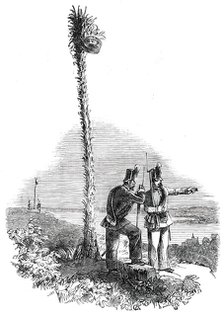 The War in Schleswig - Holstein Chasseurs and Night Fire - Signal Post, 1850. Creator: Unknown.