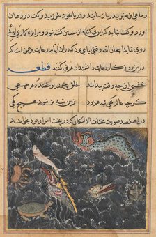 Page from Tales of a Parrot (Tuti-nama): Eleventh night: The creatures of the sea…, c. 1560. Creator: Unknown.