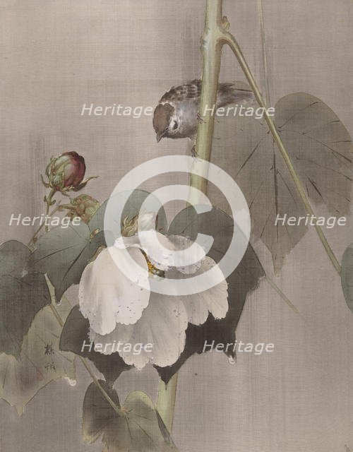 Cotton Rose Mallows in the Rain, ca. 1891-92. Creator: Okada Baison.