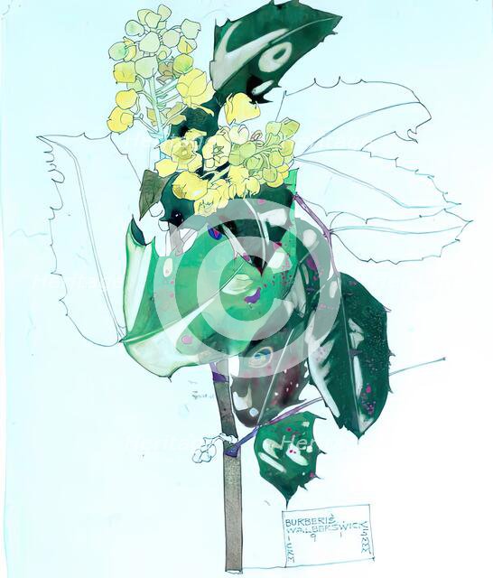 Berberis, Walberswick, 1915. Creator: Charles Rennie Mackintosh.