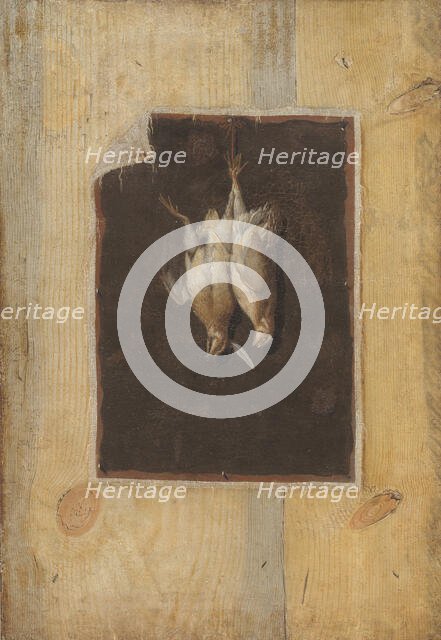 Trompe l'Oeil. Board Partition with a Still Life of Two Dead Birds Hanging on a Wall, 1670-1674. Creator: Cornelis Norbertus Gysbrechts.