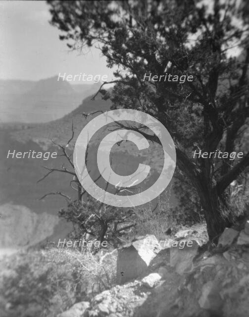 Grand Canyon, Arizona, between 1899 and 1928. Creator: Arnold Genthe.