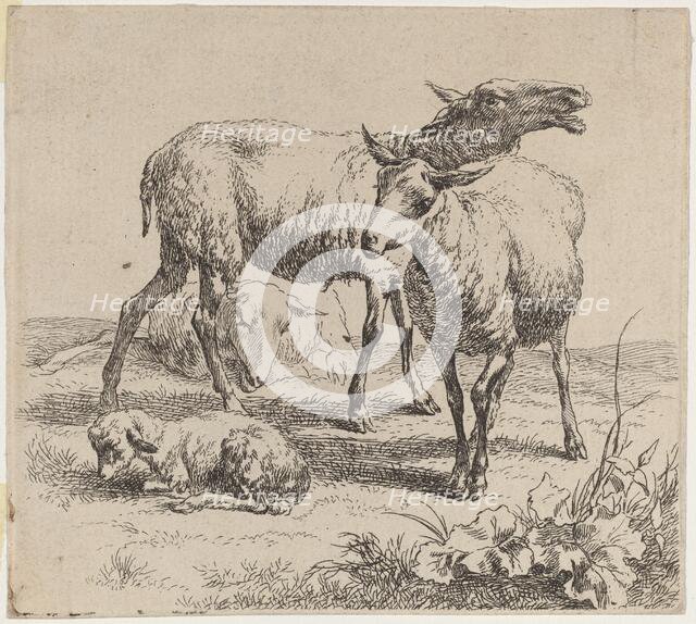 Three Sheep and a Lamb. Creator: Nicolaes Berchem.