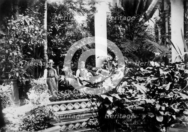 Gardeners in the Conservatory, Castle Ashby, Northamptonshire, 1889. Artist: Unknown