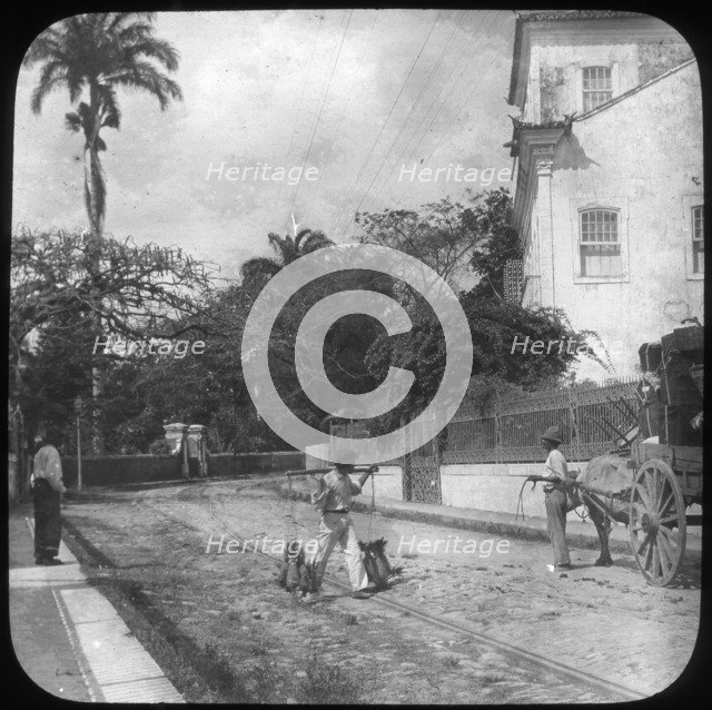Street scene, Pernambuco, Brazil, late 19th or early 20th century. Artist: Unknown