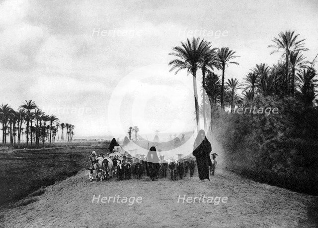 Shepherding sheep near Cairo, Egypt, c1920s. Artist: Unknown