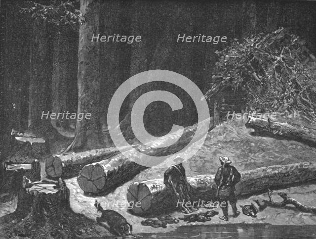 ''Camp in a Pine Forest; A Naturalist's Excursion in Wisconsin', 1875. Creator: Unknown.