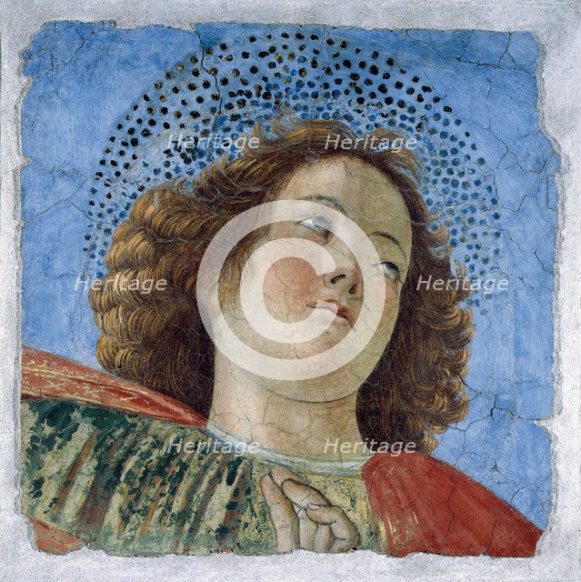 Head Of A Young Apostle.