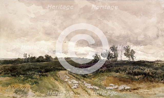 'Moorland Scene', 1878. Artist: Thomas Collier