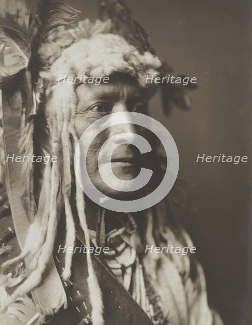 White Duck, c1908. Creator: Edward Sheriff Curtis.