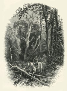 'In Cedar Walk, Virginia Water', c1870.