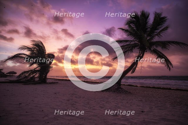 Tulum. Creator: Joshua Johnston.