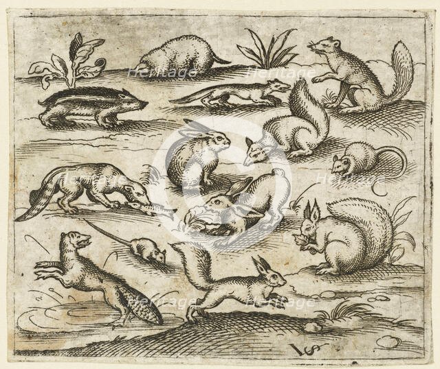 Group of small woodland creatures eating and running around a pond, including a mouse..., 1557.  Creator: Virgil Solis.