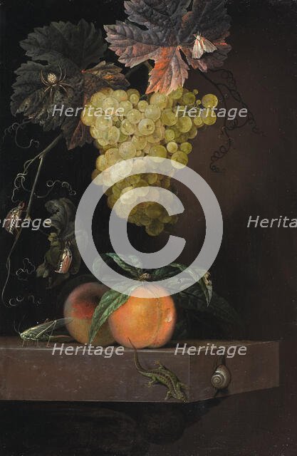 Still Life with Fruit, Lizard and Insects, 1664. Creator: Ottmar Elliger.