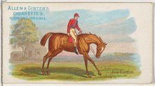 Joe Cotton, from The World's Racers series (N32) for Allen & Ginter Cigarettes, 1888. Creator: Allen & Ginter.