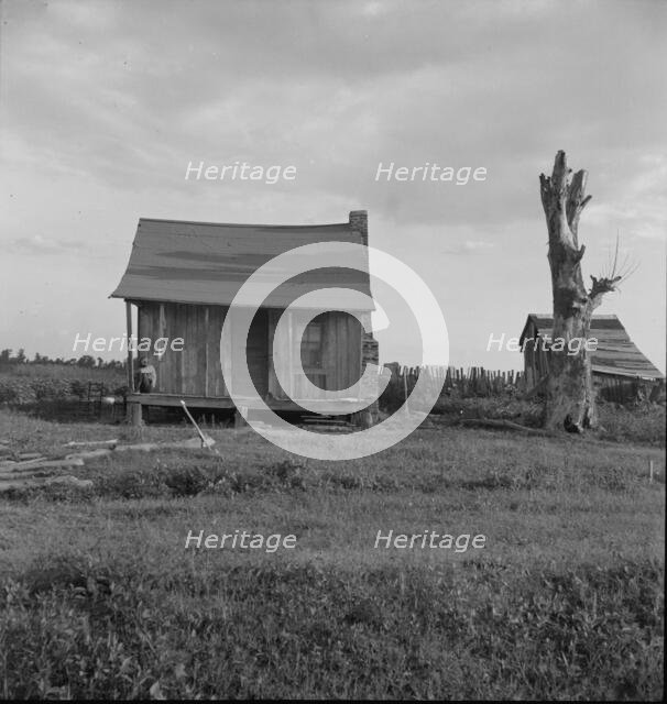 Plantation cabin of sharecropper, Washington County, Mississippi, 1937. Creator: Dorothea Lange.