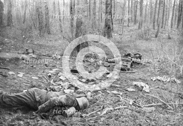 Aftermath of the fighting in the park of Plessis-de-Roye, Picardy, France, 30th March 1918. Artist: Unknown