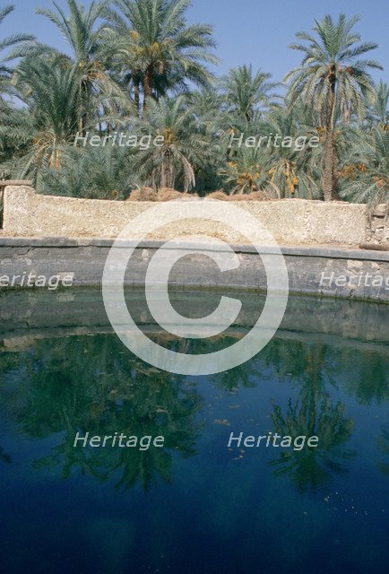 Cleopatra's Pool, Siwa, Egypt. 