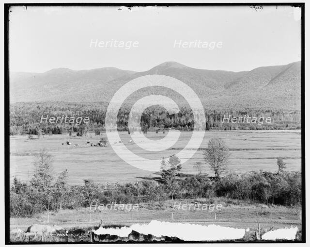 Presidential Range and Crawford Notch from golf links, White Mountains, N.H., between 1890 and 1901. Creator: Unknown.