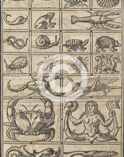 Essempio di recammi, page 11 (recto), 1530. Creator: Giovanni Antonio Tagliente.