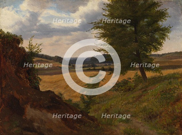 Tree in Field Landscape, Study, 1854. Creator: Werner Holmberg.