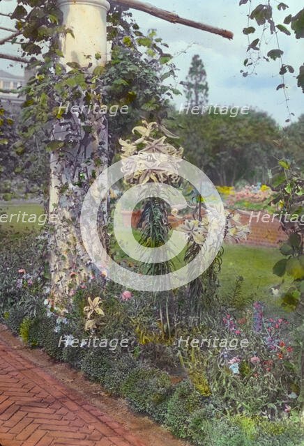 George Warrington Curtis house, Southampton, New York, 1914 or 1915. Creator: Frances Benjamin Johnston.