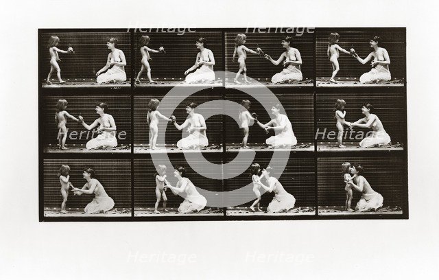 Child bringing bouquet to a woman, Plate 465 from Animal Locomotion, 1887 (photograph)