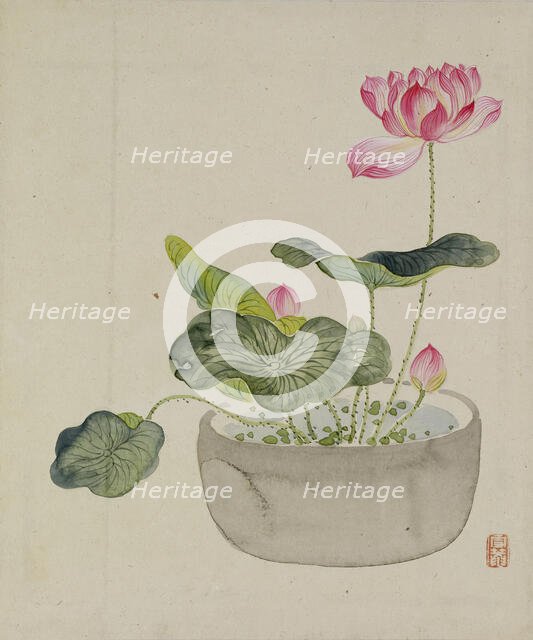 Leaf from Album Depicting Birds, Flowers, Landscapes, and Flower Pots, 1876. Creator: Yoshizawa Setsuan.