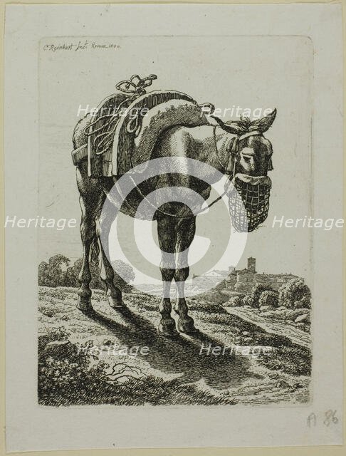 Feeding Mule - Front, from Die Zweite Thierfolge, 1800. Creator: Johann Christian Reinhart.