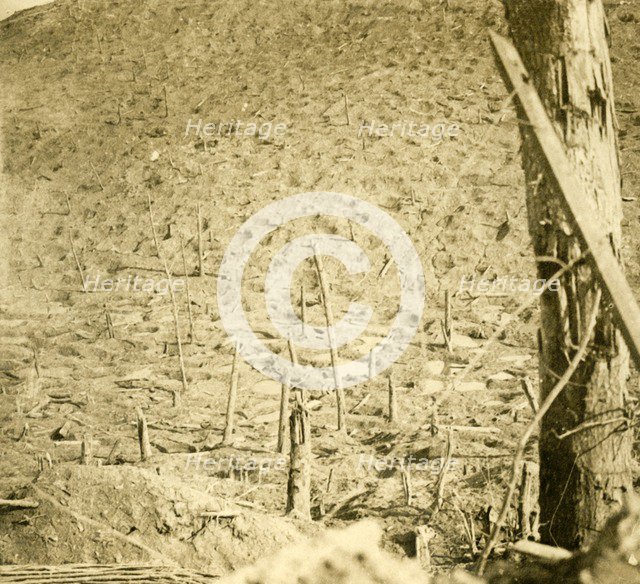 Ravine at Les Éparges, northern France, c1914-c1918.  Artist: Unknown.