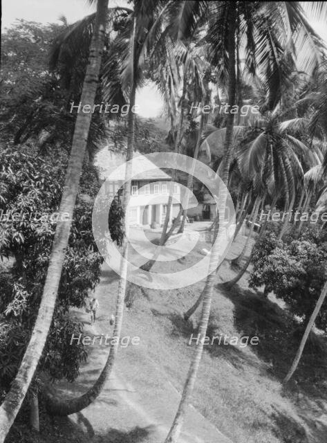 Travel views of Cuba and Guatemala, between 1899 and 1926. Creator: Arnold Genthe.