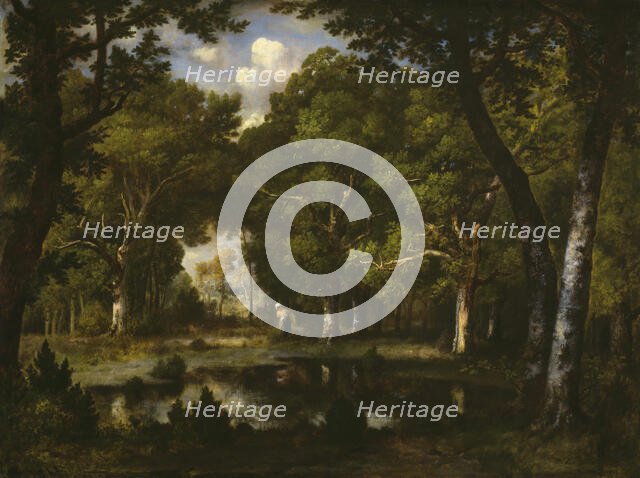 Pond in the Woods, 1862. Creator: Narcisse Virgile Diaz de la Pena.