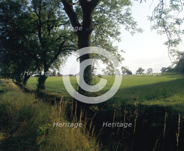 Northallerton Battlefield, North Yorkshire, 1994. Artist: John Critchley