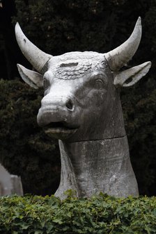 Bull's head, National Roman Museum (Baths of Diocletian), Rome, Italy, 2009. Creator: LTL.