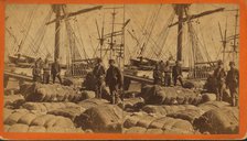 African-American longshore men and bales of cotton on the dock, c1850-c1930. Creator: O. Pierre Havens.