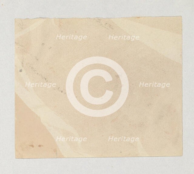 Crape, 1839-40. Creator: William Henry Fox Talbot.
